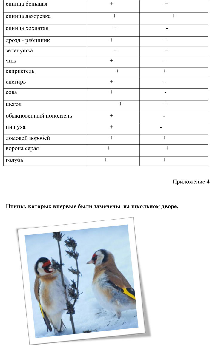 Биоразнообразие - СШ 9 г.Кобрина